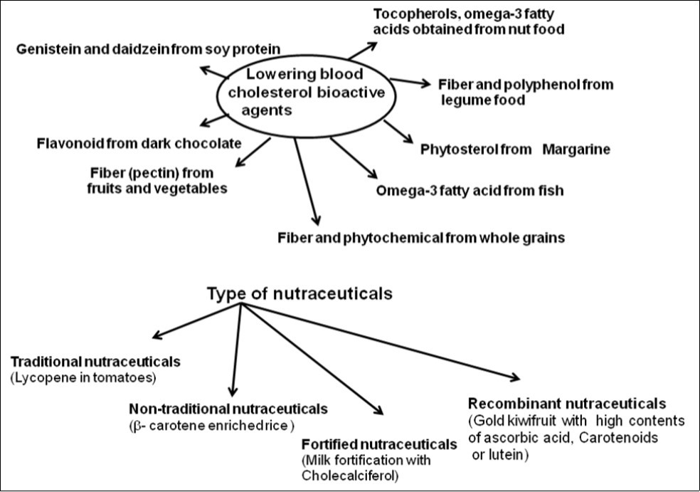 Bioactive components from different food sources help in lowing of blood cholesterol                  concentration 1314.