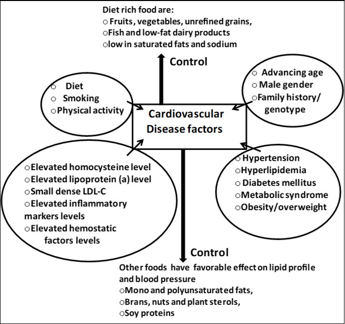Some nutraceutial sources from food products or its ingredient for                   reduction of cardiovascular disease with its possible risk factors 14