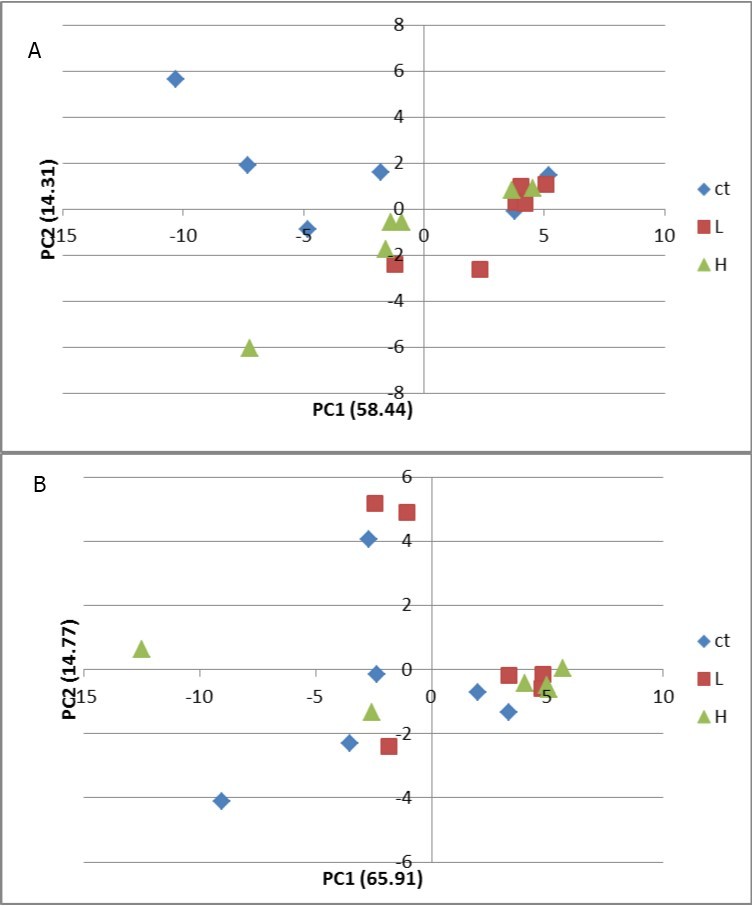 Principle component analyses (PCA) score plots of liver metabolites of carp at 24 h (A) and 96 h (B) after exposure to cypermethrin. The contribution percent of each component is presented along the x and y axis in relation to pc1 and pc 2 respectively. Ct: control group; L: low concentration; H: high               concentration.