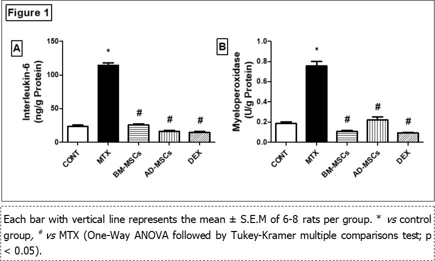 Effect of treatment with BM-MSCs or AD-MSCs on IL-6 content (A) and myeloperoxidase activity (B) as compared with Dex in MTX-induced intestinal injury in rats.