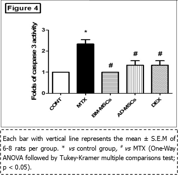Effect of treatment with BM-MSCs or AD-MSCs on caspase-3 as compared with Dex in MTX-induced                   intestinal injury in rats.