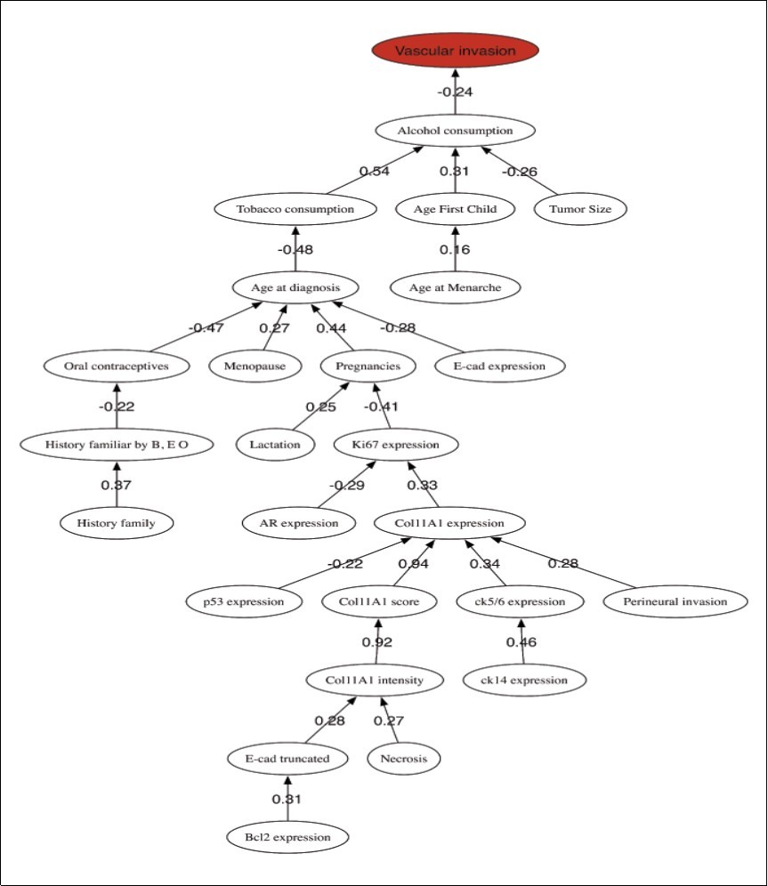 Lymph nodes metastasis prediction. Correlation network among the most discriminatory prognostic               variables.