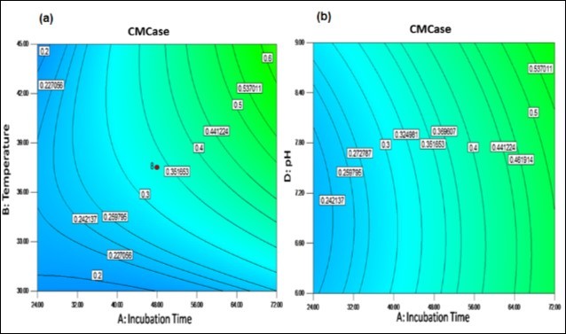 Response surface plots showing cumulative effect on cellulase (CMCase) production (a)              Contour plots for combined effect of incubation time and temperature (b) Contour plots for combined      effect of incubation time and pH
