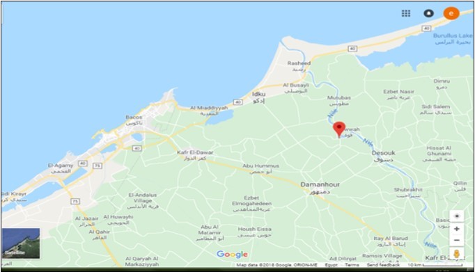 The map of Abu Hummus, ElBehara                  (Google map).