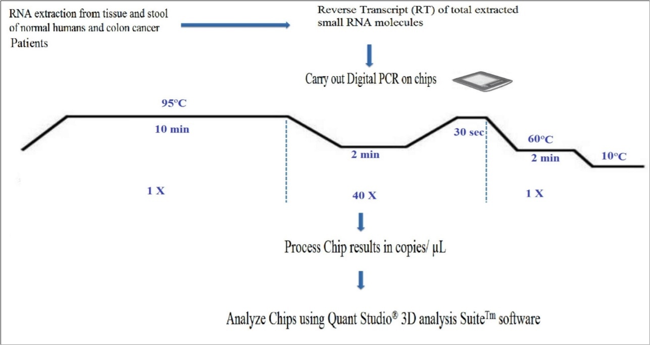 Workflow of a digital miRNAs PCR for colon cancer profiling in human colon tissue or stool samples.
