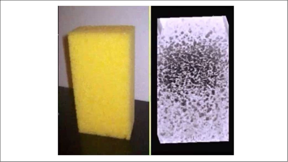 Random Void Phantom: Water-filled artificial foam immersed in a water tank. The 3D   image shows the ultrasound image of the sponge acquired with a matrix probe.