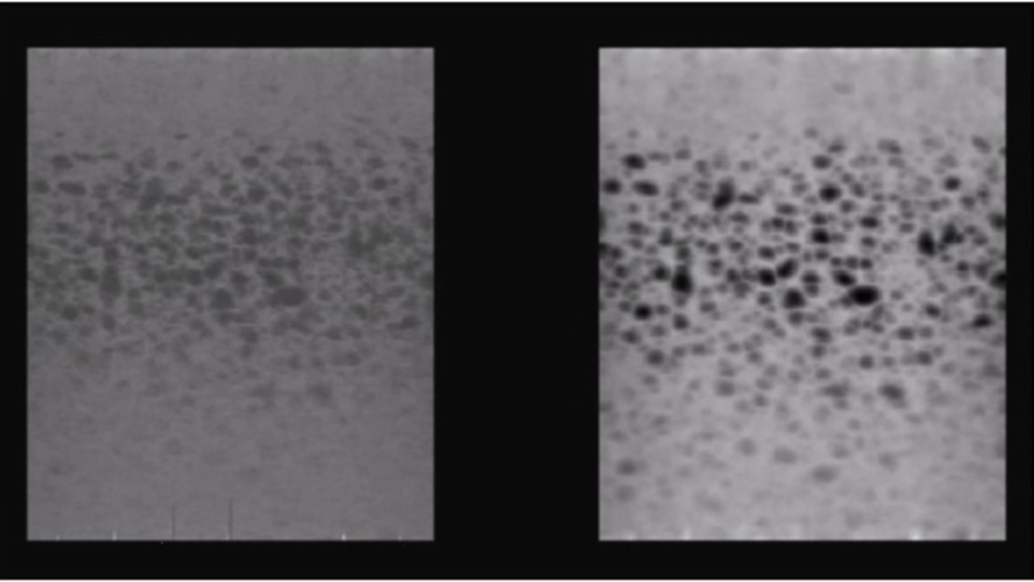 Random Void Phantom - medium contrast resolution (21.61 dB, Alloca SSD 5412).             Original 3D rendered image (left), with increased image contrast (right).