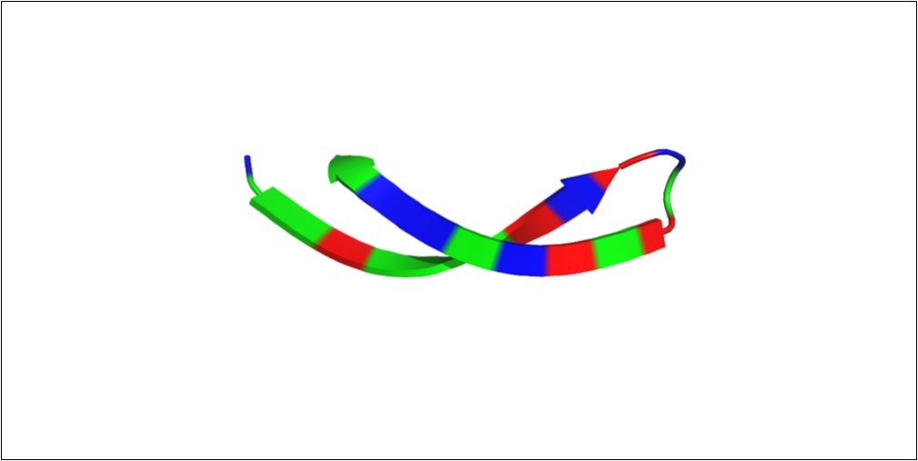 The arenicin arginine and valine residues. Arginine and valine amino acids  correspond to 54% of residues in the arenicin structure. They contribute to the conformational state of the peptide, the overall charge and affinity for ligands. Red – arginine; blue – valine;                       green – other amino acid residues.