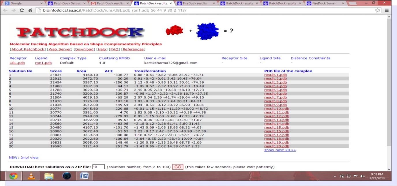 (Patch dock result for UBL and rpn1)