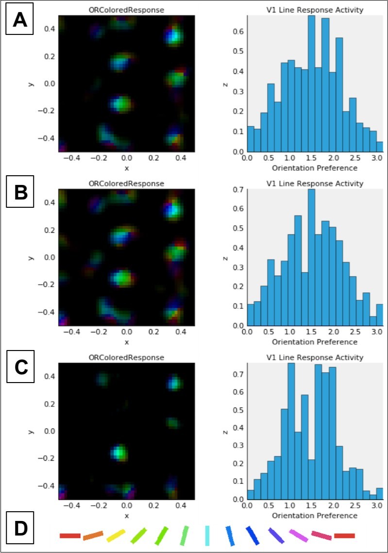 Combined activation and orientation preference maps (left column) and histograms showing activation of V1 neurons as a function of cell orientation preference (on x-axis, in radians) (right column). Data in both columns reflect activation in response to a single presentation of the LSF sine grating stimulus at 80% contrast (see Figure 2) after normal or abnormal model V1 development (see below). Each color in the maps in the left column corresponds to selectivity for the orientation denoted by the corresponding color in the key (D) at the bottom of this figure. Brightness corresponds to the firing rate of the neuron at a given location in the V1 sheet, which is retinotopic with respect to the LSF stimulus shown in Figure 2. In the histograms in the right column, the expected distribution peak for vertically oriented stimuli (see Figure 2) is π/2 or ~1.57 radians. A: Data for unmodified model after 20,000 iterations (same as in top row, Figure 3).  B: Data after 10,000 normal development trials followed by 10,000 trials adapting to 15% reduced retinal and LGN output