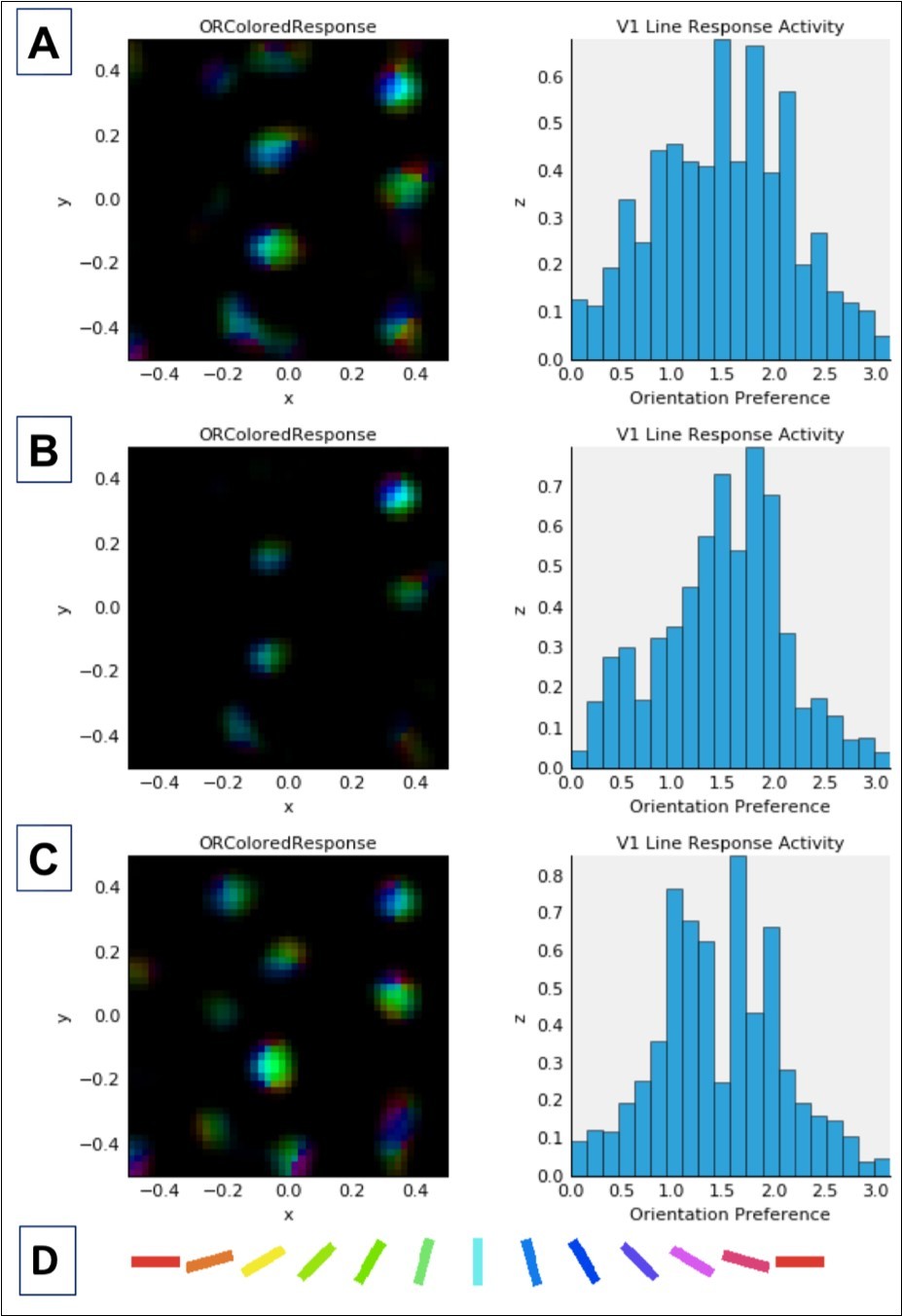 Combined activation and orientation preference maps (left column) and histograms showing activation of V1 neurons as a function of cell orientation preference (on x-axis, in radians) (right column). Data in both columns reflect activation in response to a single presentation of the LSF sine grating stimulus at 80% contrast (see Figure 2) after normal or abnormal model V1 development (see below). Each color in the maps in the left column corresponds to selectivity for the orientation denoted by the corresponding color in the key (D) at the bottom of this figure. Brightness corresponds to the firing rate of the neuron at a given location in the V1 sheet, which is retinotopic with respect to the LSF stimulus shown in Figure 2. In the histograms in the right column, the expected distribution peak for vertically oriented stimuli (see Figure 2) is π/2 or ~1.57 radians. A: Data for unmodified model after 20,000 iterations (same as in top row, Figure 4).  B: Data after 10,000 normal development trials followed by 10,000 trials adapting to 10% increased V1 lateral excitation. This model is associated with the highest CV of all contrast ramp models (see Table 1). Note that the peak of the OR tuning histogram is not at the preferred orientation, which may account for some of the excess variability, in addition to the large drop from the peak to the tails, which is also asymmetrical. C: Data after 10,000 normal development trials, followed by implementation of 10% increased V1 lateral excitation, and then by immediate presentation of the 1000-stimulus sequence. Note the high level of excitation in this model (before generalized inhibition effects arise). This model demonstrates the highest mean activation of all contrast ramp models (note change in Y axis values relative to other models), and the highest SD, but not the highest CV or excess kurtosis. The latter can be observed both in the smaller tails in the histogram, as well as in the blue-green coloring in the activation map       indicating that the excess activation was for orientation selective cells signaling vertical or near-vertical orientations. As with the model data in Row 2, the peak of the OR histogram is again not at preferred orientation, but is close to it (and activation in other model neurons is roughly symmetrical around it) with little activity at the tails, and less activity at the tails compared to the model after 20,000 developmental iterations. This increased drop in activation away from the peak can account for a portion of increased CV in this model.