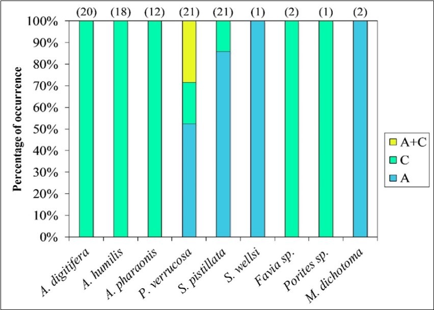 Cladal composition of Symbiodinium population in the collected coral species. Top numerals in parentheses indicate numbers of collected fragments in each species.