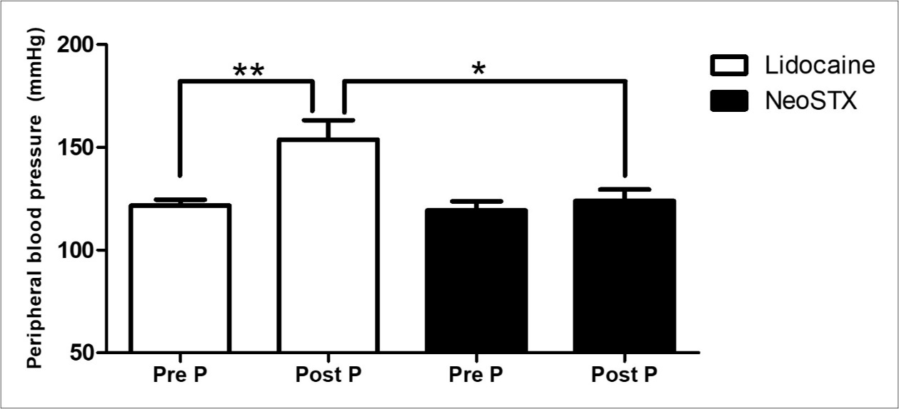 Effect of NeoSTX and lidocaine on peripheral blood pressure, comparison of the pressure before surgery (basal) and the pressure at the moment when the cervix was cut. The NeoSTX group does not show differences, while for the lidocaine group an increase in peripheral blood pressure is observed when both measurements are compared. Significance determined with T test: * p <0.05, ** p <0.01.