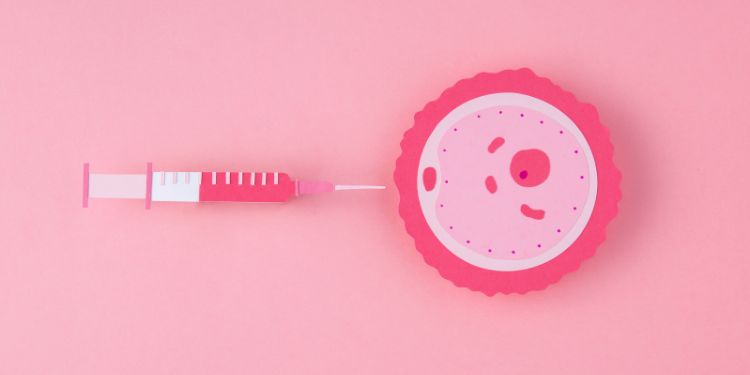 Article: Preconception Immunoglobulins and Complements as Potential Biomarkers in Unexplained Female                Infertility in Saudi Arabia