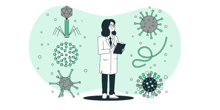 Article: The Application of Immunoglobulins Immune Response in the Discovery and Development of Safe Therapeutic Agents: A Review Article