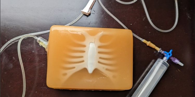 Article: Ultrasound Guided Pericardial Effusion Training Model for Neonates