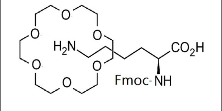 Article: Protection Side Chain of Lysine by Host-Affinity Molecules during Solid Phase Peptide Synthesis in Aqueous Phase