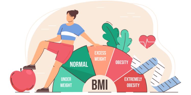Article: A New Model of Body Composition: Concept and Design Features of the DBA-Model
