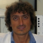 Benedetto Sacchetti N